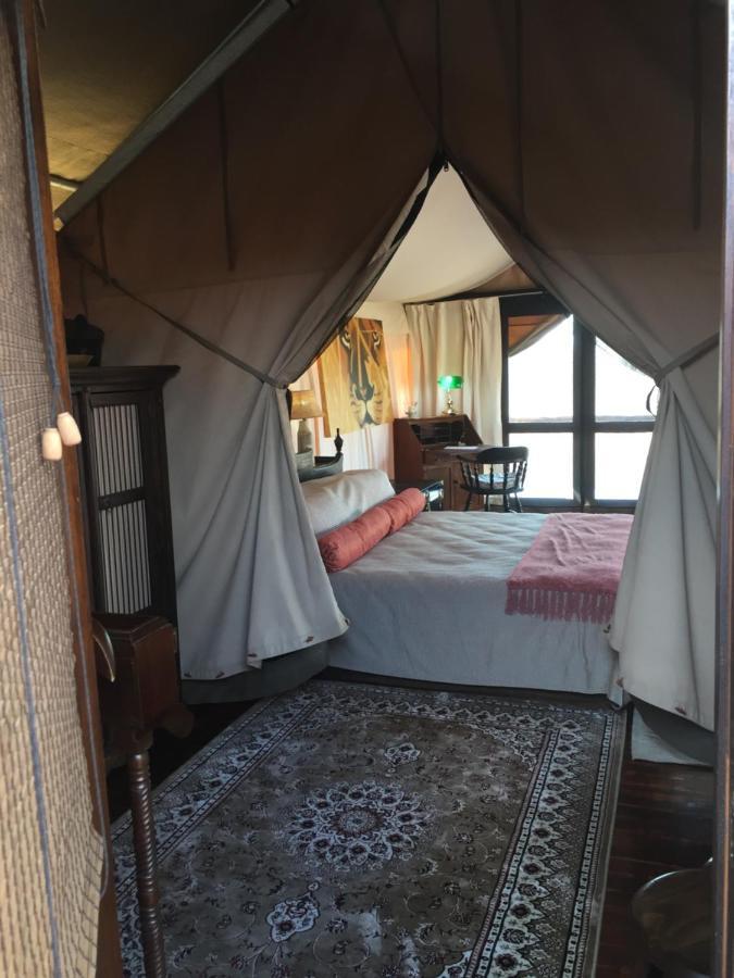 Out In Africa Wildlife Lodge Хаманскраал Екстериор снимка