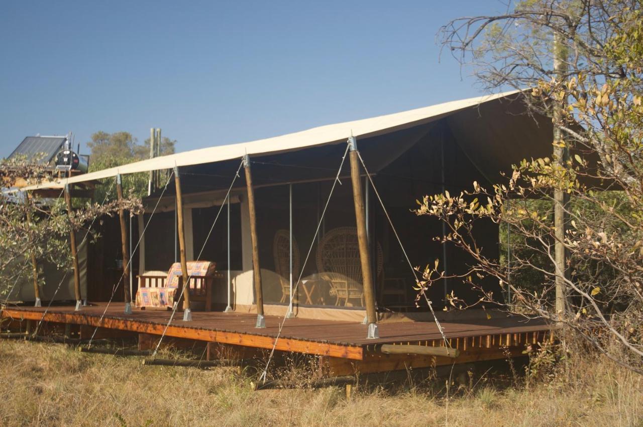 Out In Africa Wildlife Lodge Хаманскраал Екстериор снимка