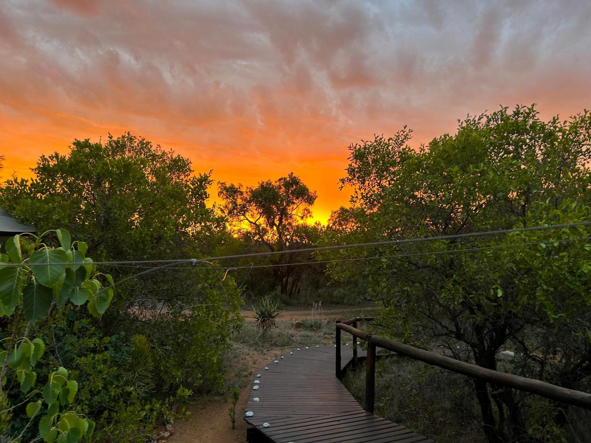Out In Africa Wildlife Lodge Хаманскраал Екстериор снимка